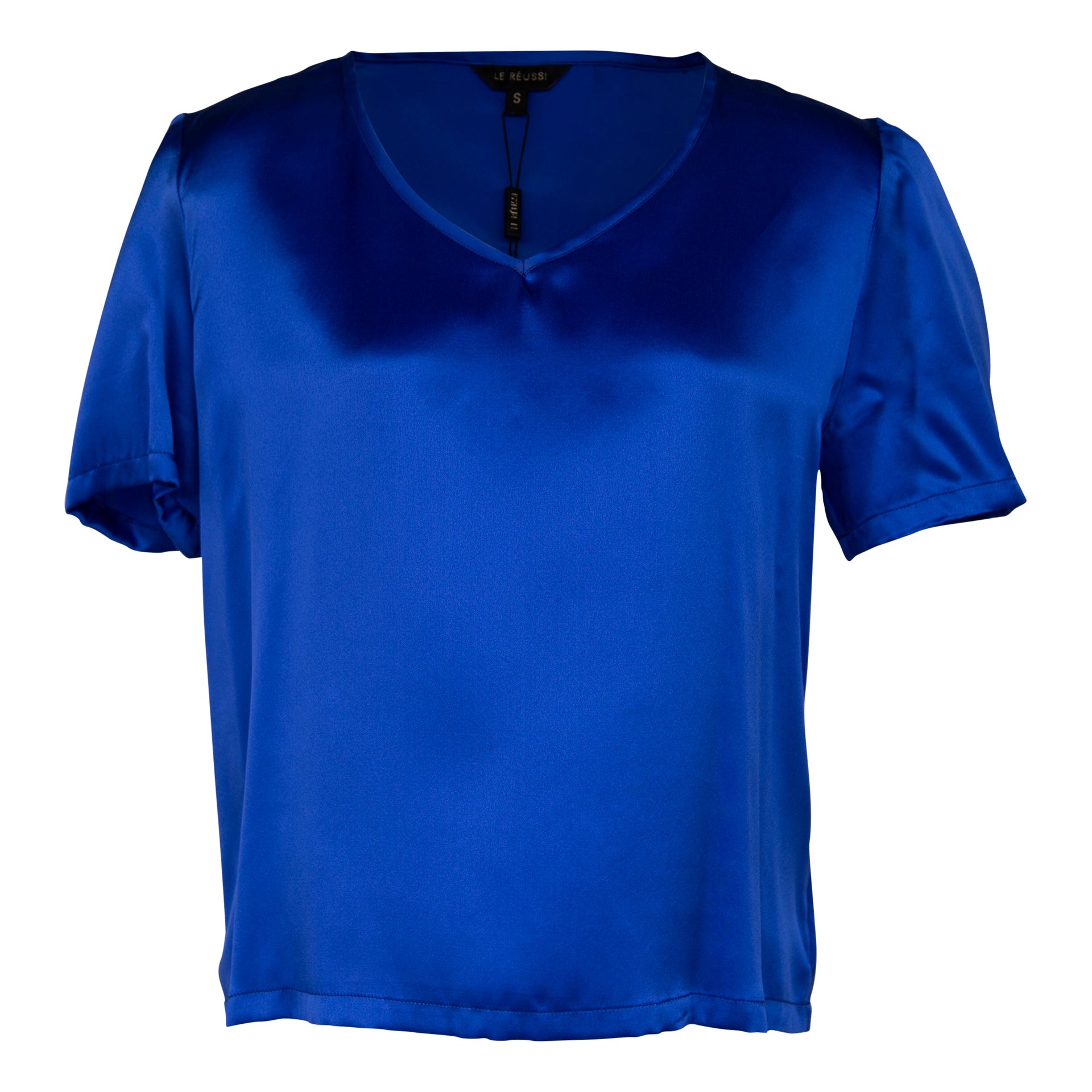 Shining V-Neck Blouse in Blue