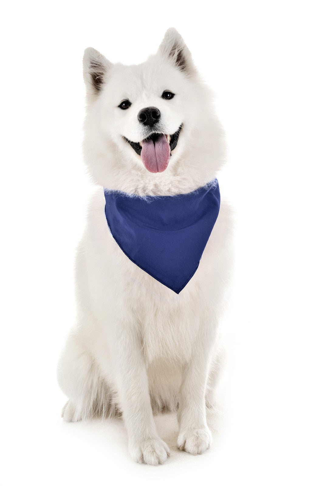 Pack of 6 Cotton Dog Bandanas Solid Colors Regular Size (Blue)