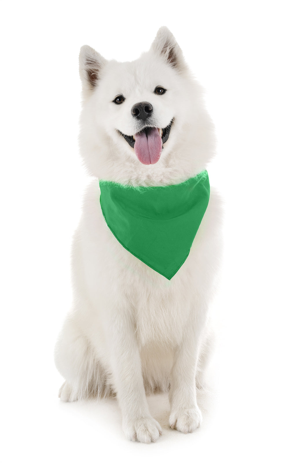 Pack of 6 Cotton Dog Bandanas Solid Colors Regular Size (Green)