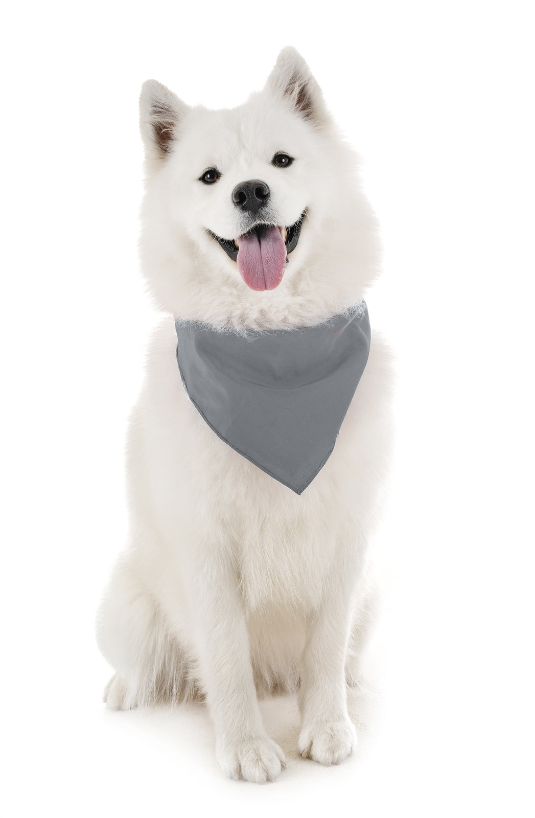 Pack of 6 Cotton Dog Bandanas Solid Colors Regular Size (Grey)