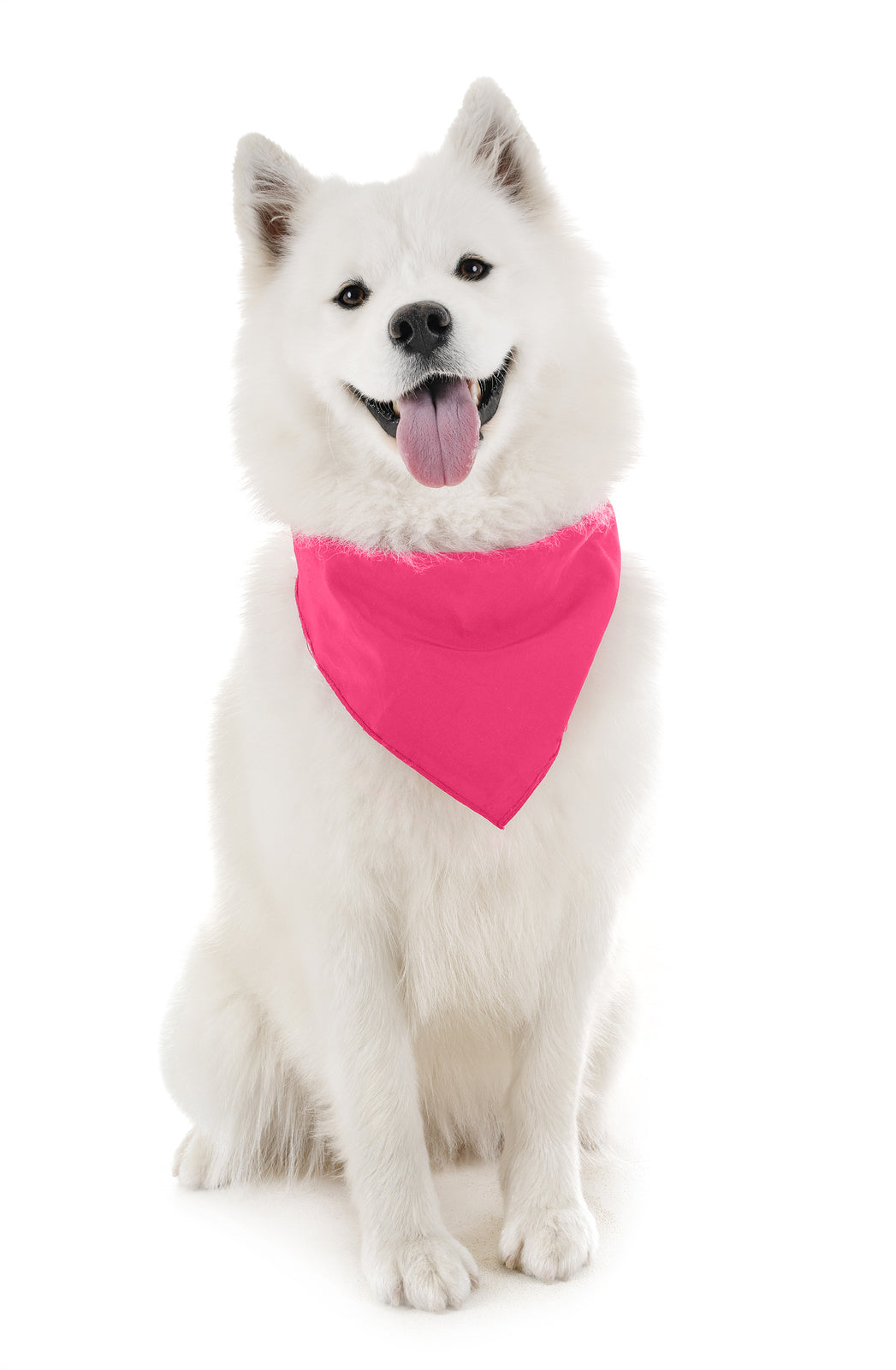 Pack of 6 Cotton Dog Bandanas Solid Colors Regular Size (Hot Pink)