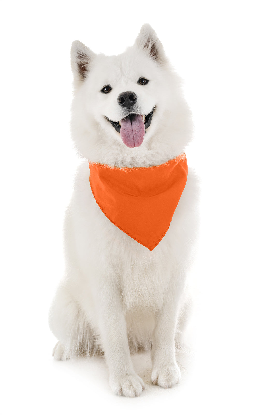 Pack of 6 Cotton Dog Bandanas Solid Colors Regular Size (Orange)