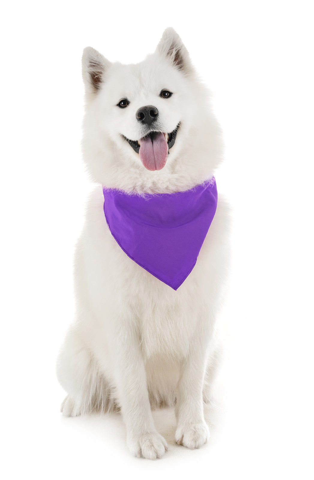 30 Pack Polyester Dog Bandanas Solid Colors Regular Size (Purple)