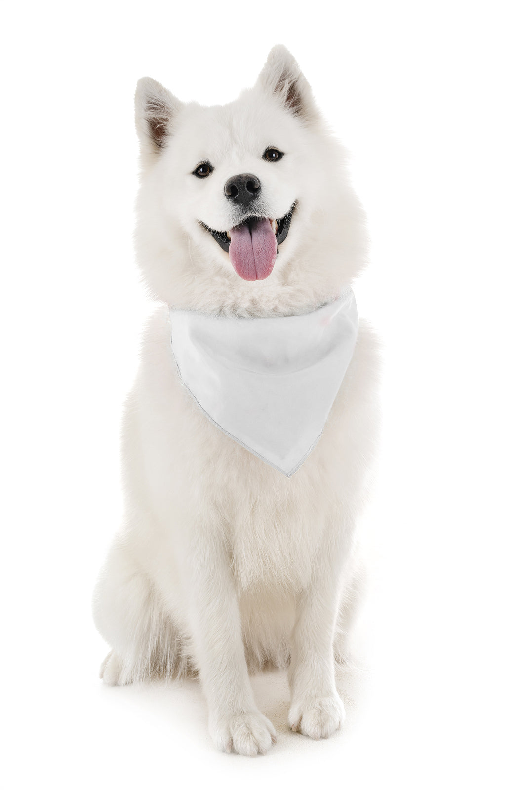 Pack of 6 Cotton Dog Bandanas Solid Colors Regular Size (White)