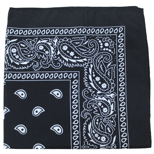 10 Pack Paisley 100% Cotton Double Sided Bandana, 22 inches (Black)
