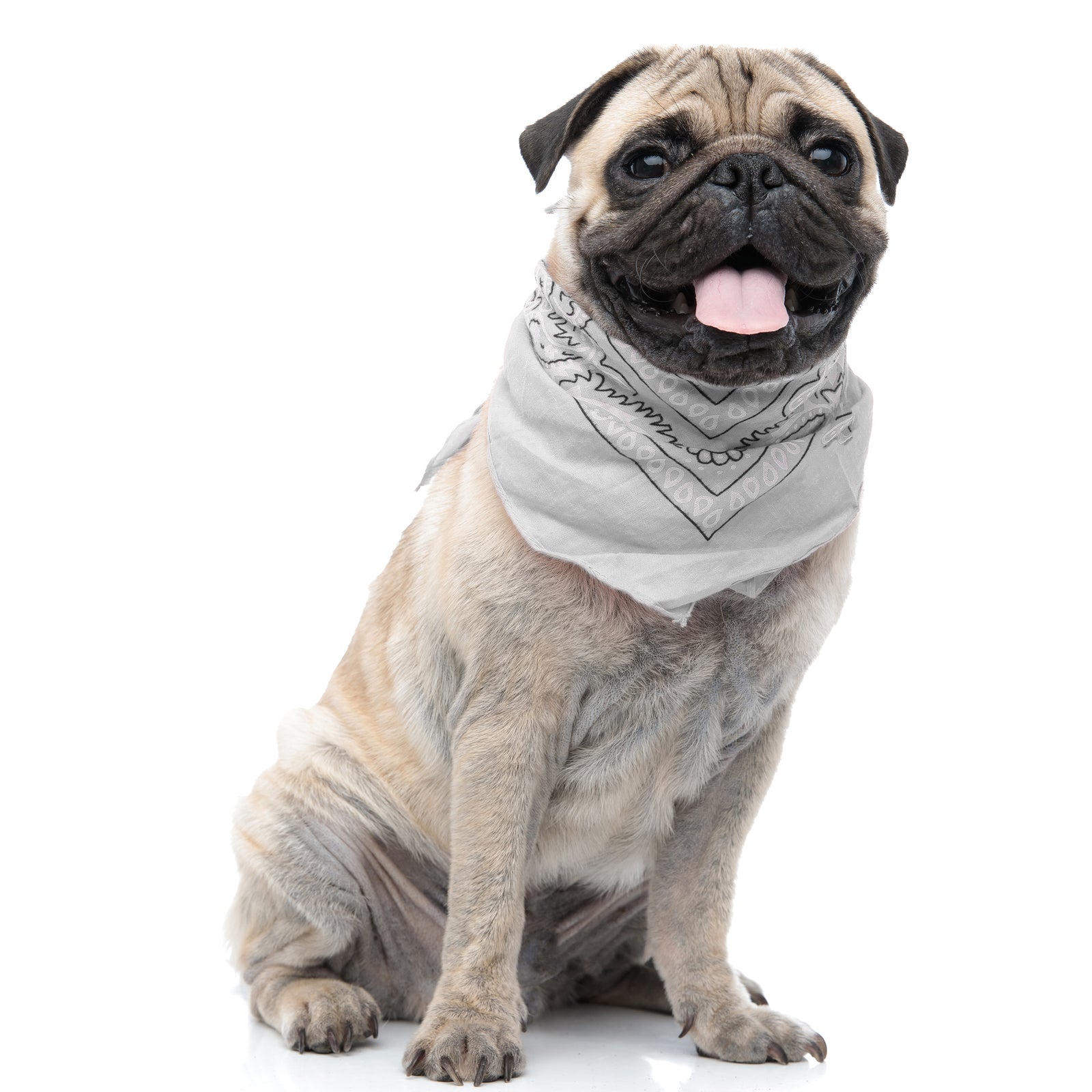 30 Pack Polyester Paisley XL Oversized Dog Bandanas (White)