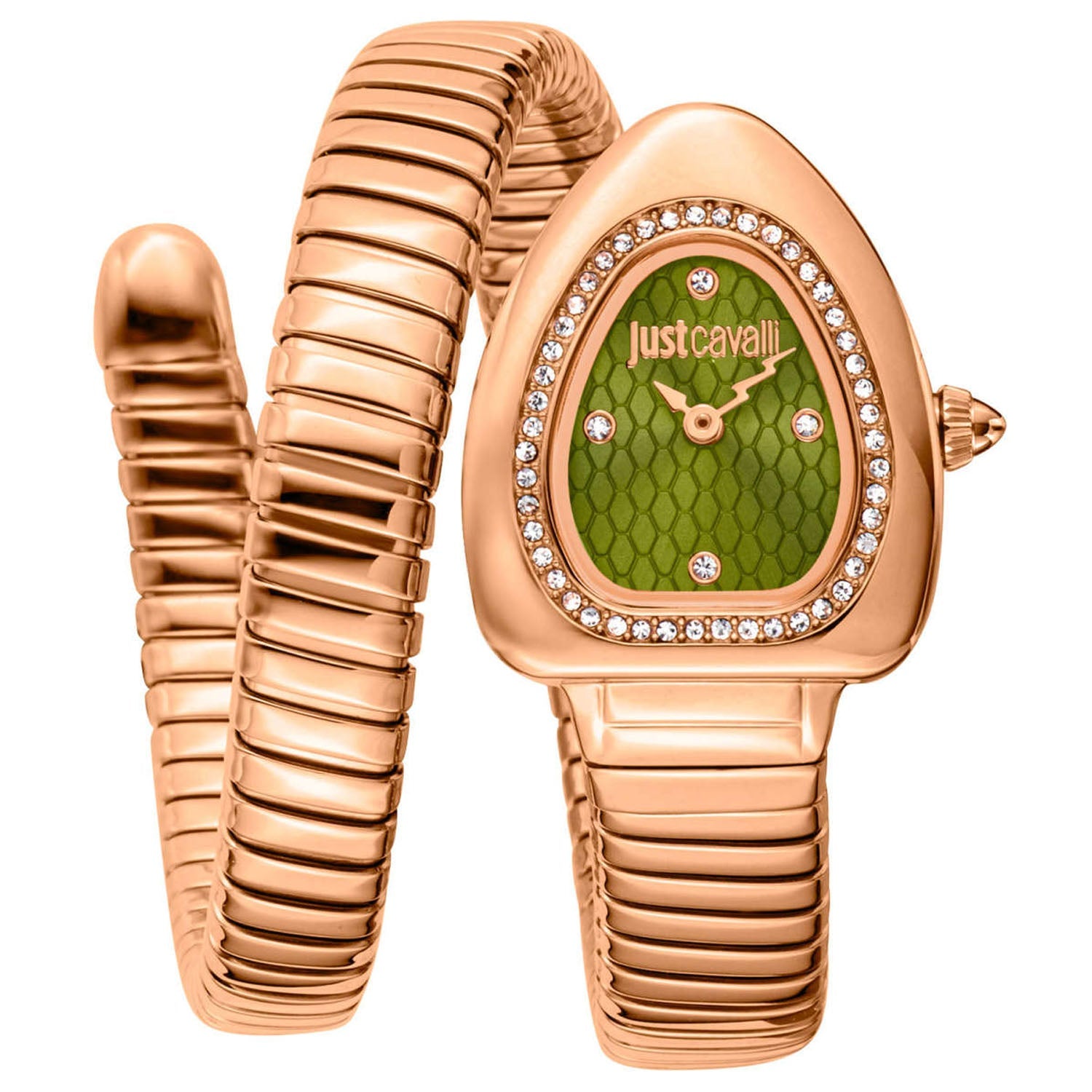 Just Cavalli Women's Wait Green Dial Watch - JC1L249M0045