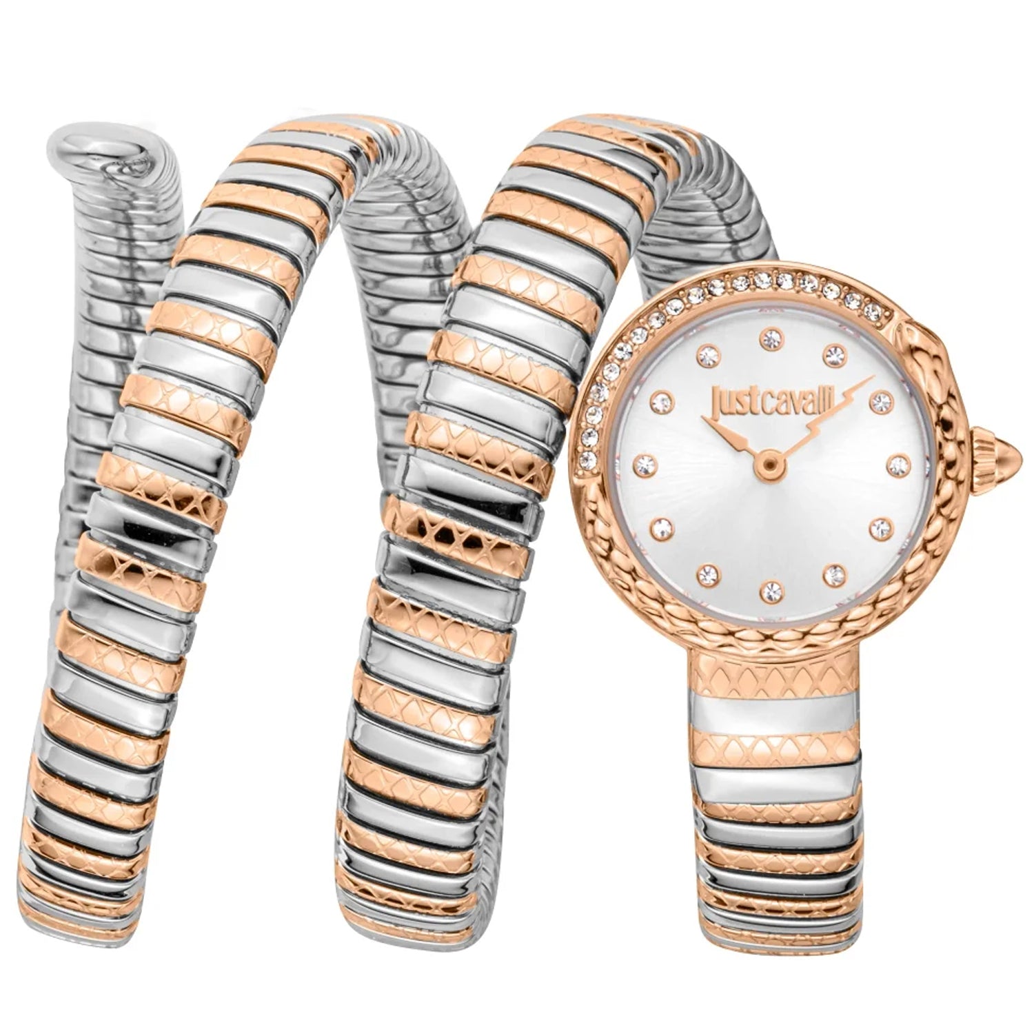 Just Cavalli Women's Enchanting Snake Silver Dial Watch - JC1L302M0065