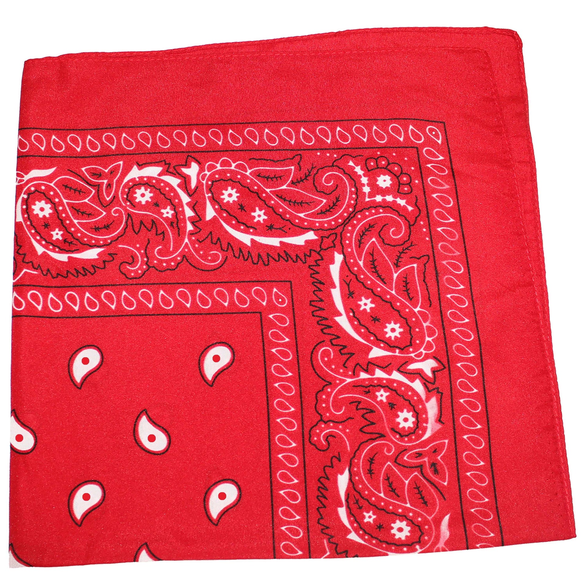 10 Pack Paisley 100% Cotton Double Sided Bandana, 22 inches (Red)