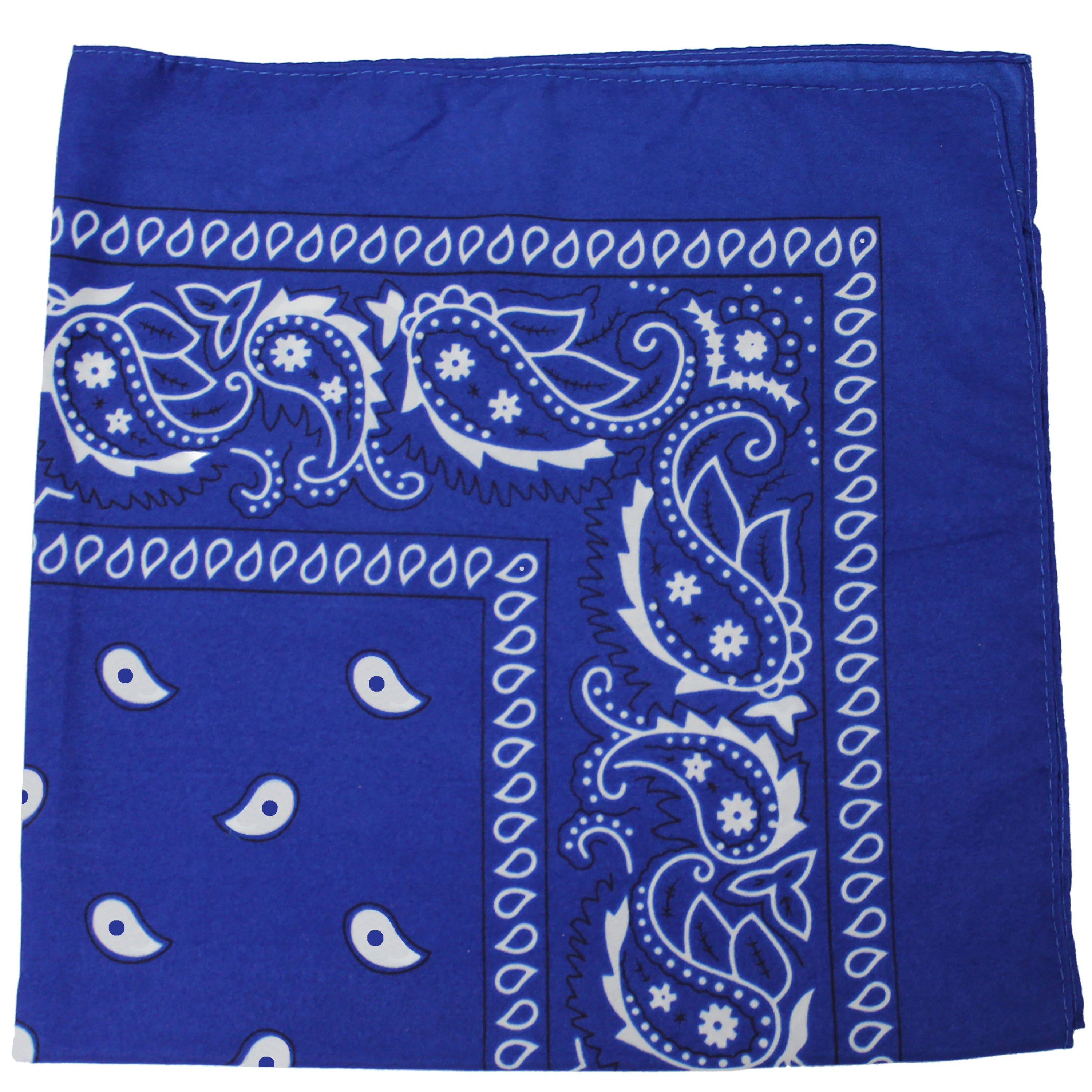 10 Pack Paisley 100% Cotton Double Sided Bandana, 22 inches (Royal Blue)