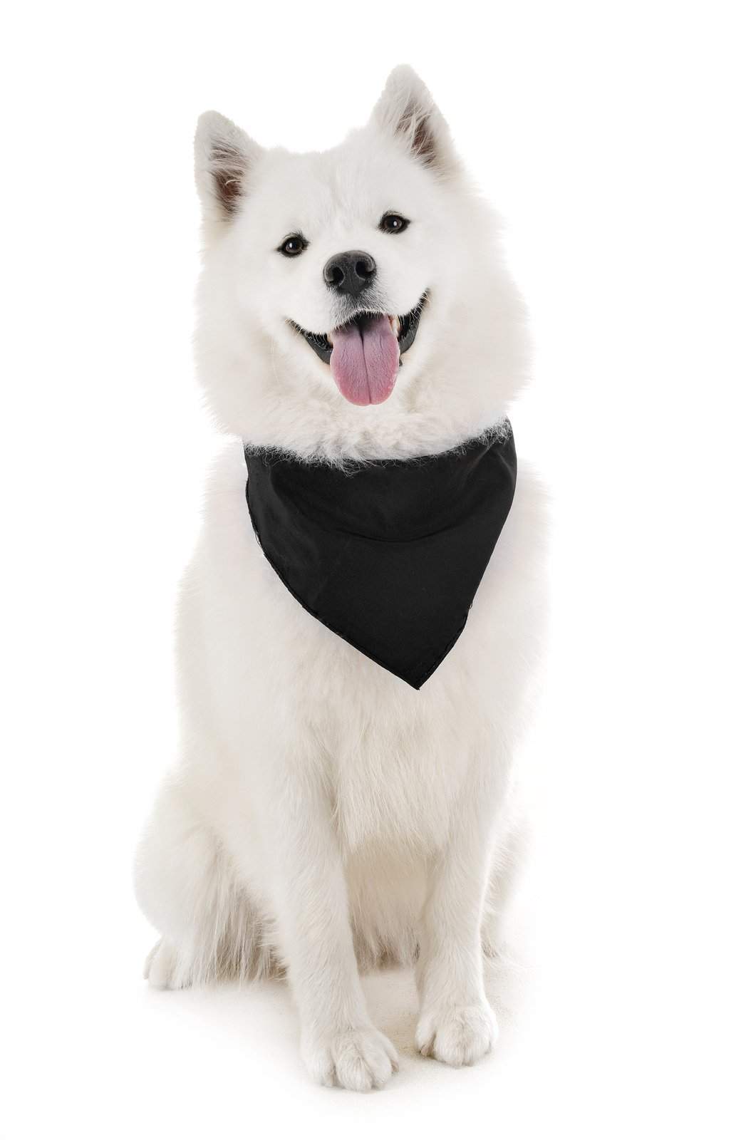 Balec Dog Solid Bandanas - 4 Pieces - Scarf Triangle Bibs for Any Small, Medium or Large Pets