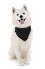 Load image into Gallery viewer, Dog Bandanas - 6 Pack - Scarf Triangle Bibs for Small, Medium and Large Puppies, Dogs and Cats
