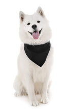 Load image into Gallery viewer, 2 Pack Qraftsy Dog Cotton Bandana Scarf Triangle Bibs for Any Size Puppies, Dogs and Cats
