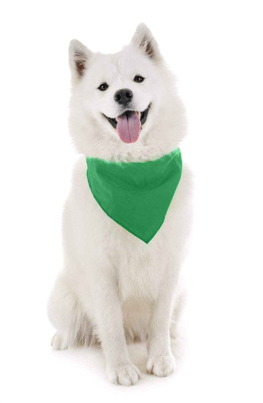 Qraftsy Dog Bandana Scarf Triangle Bibs for Any Size Puppies, Dogs and Cats
