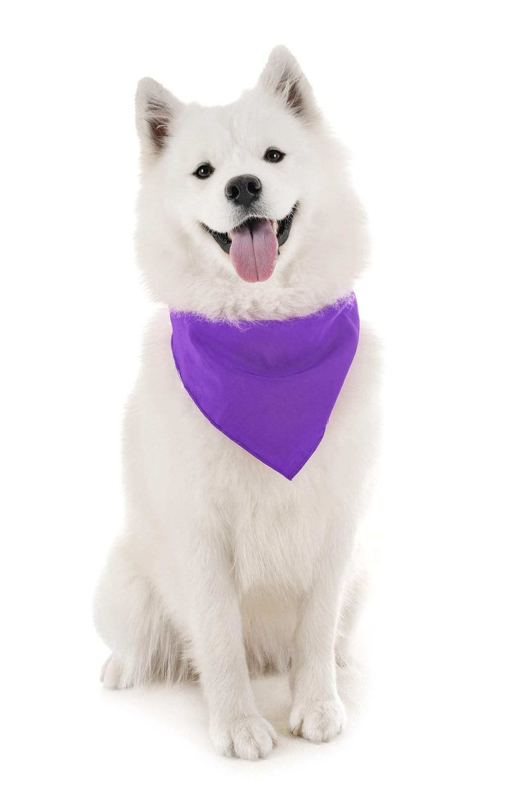 Balec Dog Solid Bandanas - 4 Pieces - Scarf Triangle Bibs for Any Small, Medium or Large Pets