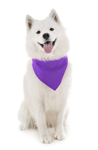 Load image into Gallery viewer, Balec Dog Solid Cotton Bandanas - 5 Pieces - Scarf Triangle Bibs for Any Small, Medium or Large Pets

