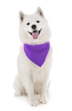 Load image into Gallery viewer, 2 Pack Qraftsy Dog Cotton Bandana Scarf Triangle Bibs for Any Size Puppies, Dogs and Cats

