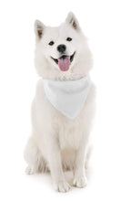Load image into Gallery viewer, Balec Dog Solid Bandanas - 4 Pieces - Scarf Triangle Bibs for Any Small, Medium or Large Pets
