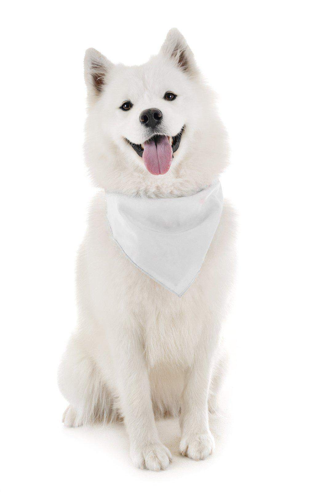 Balec Dog Solid Cotton Bandanas - 5 Pieces - Scarf Triangle Bibs for Any Small, Medium or Large Pets