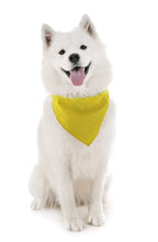 Load image into Gallery viewer, Qraftsy Dog Bandana Scarf Triangle Bibs for Any Size Puppies, Dogs and Cats
