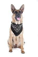 Load image into Gallery viewer, 2 Pack Paisley Polyester Pets Dogs Bandana Triangle Shape  - Oversized
