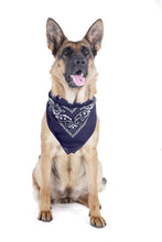 Load image into Gallery viewer, 5 Pack Paisley Polyester Pets Dogs Bandana Triangle Shape  - Oversized
