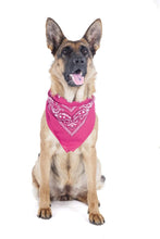 Load image into Gallery viewer, Mechaly 4 Pack Paisley Polyester Pets Dogs Bandana Triangle Shape  - Oversized

