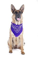 Load image into Gallery viewer, 2 Pack Paisley Polyester Pets Dogs Bandana Triangle Shape  - Oversized
