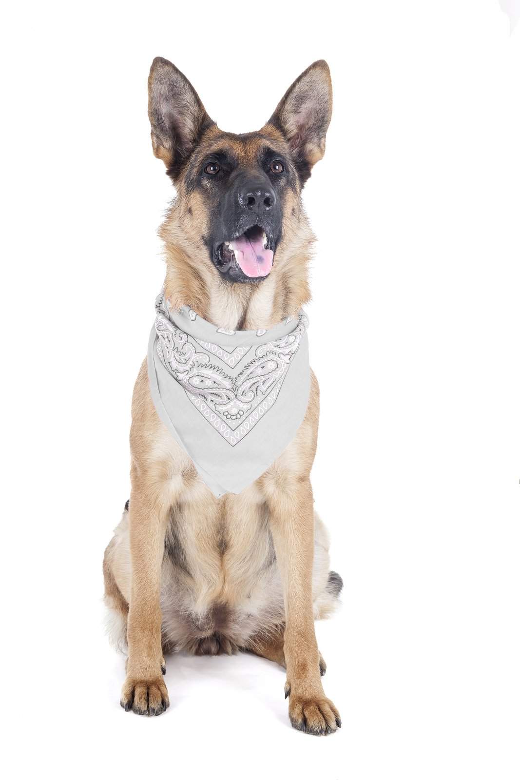 Mechaly 4 Pack Paisley Polyester Pets Dogs Bandana Triangle Shape  - Oversized