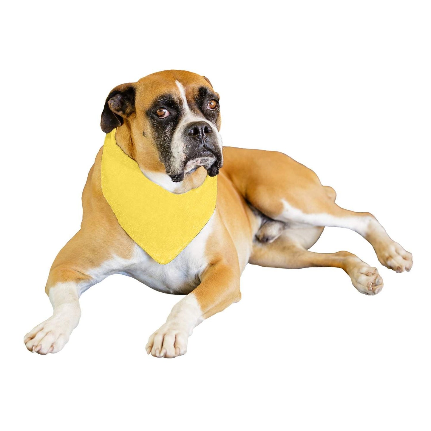 Jordefano Solid Polyester Dog Neckerchief Triangle Bibs - Extra Large