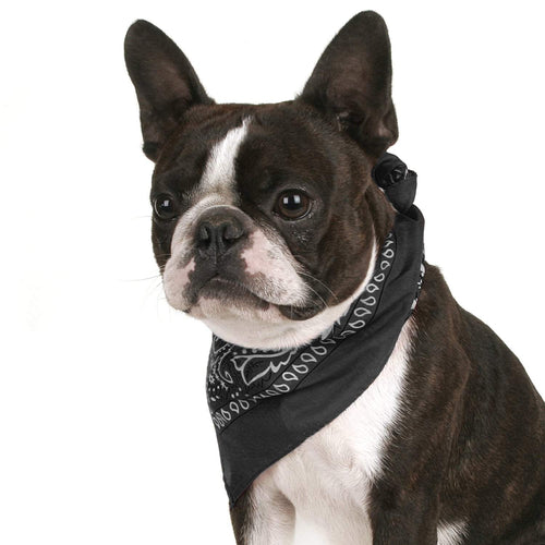 Mechaly Pack of 8 Paisley Cotton Dog Bandana Triangle Shape  - Fits Most Pets