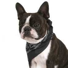 Load image into Gallery viewer, Qraftsy Paisley Cotton Pack of 6 Dog Bandana Triangle Shape  - Fits Most Pets

