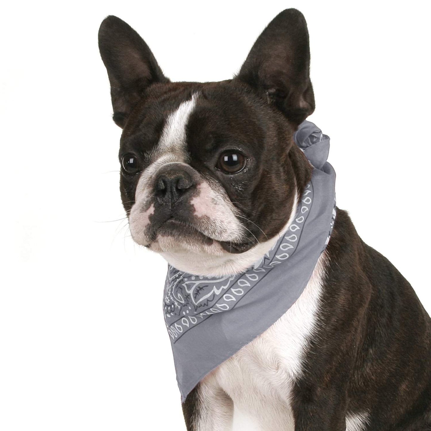 Pack of 4 Paisley Cotton Dog Bandana Triangle Shape  - One Size Fits Most