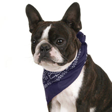Load image into Gallery viewer, Balec Pack of 2 Paisley Cotton Dog Bandana Triangle Shape  - One Size Fits Most

