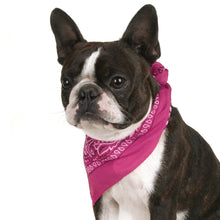 Load image into Gallery viewer, Balec Pack of 2 Paisley Cotton Dog Bandana Triangle Shape  - One Size Fits Most
