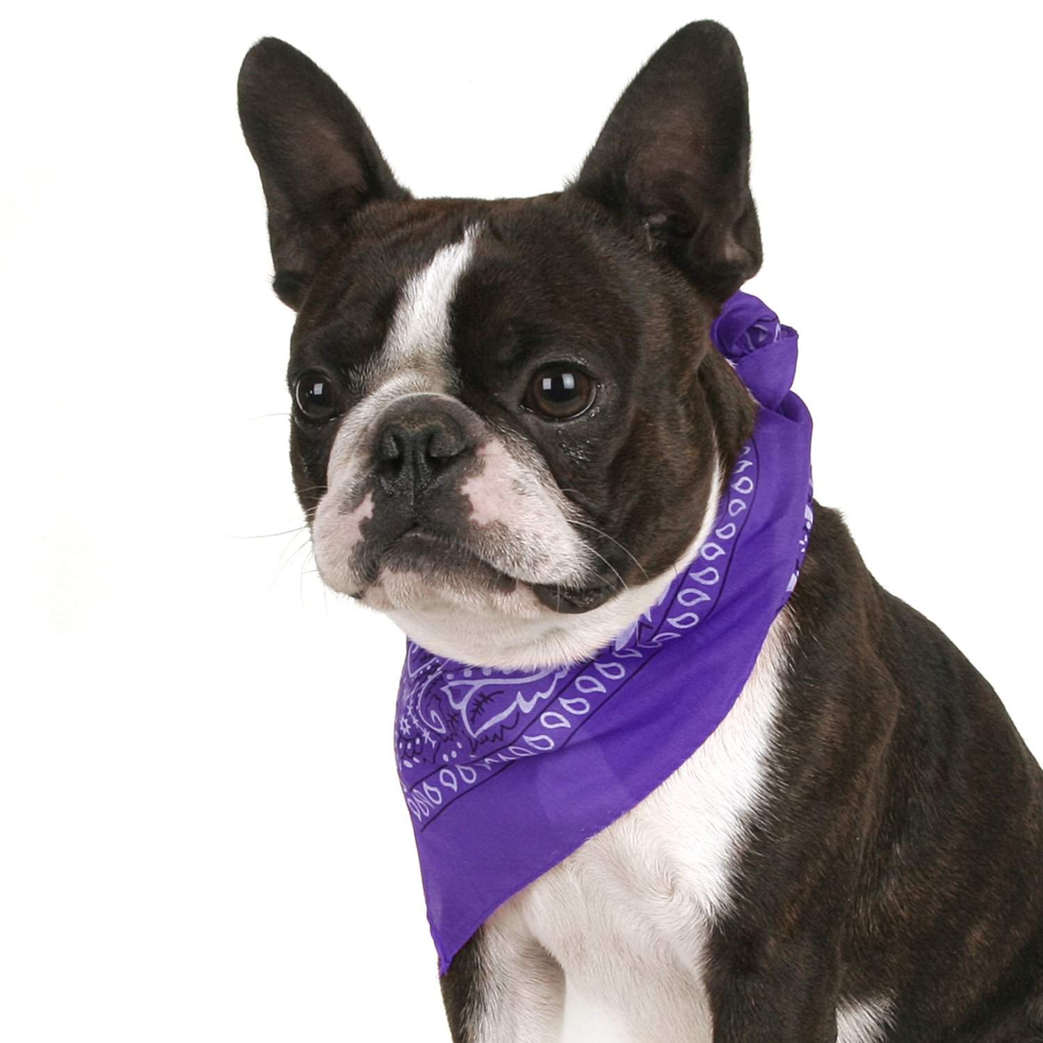 Mechaly Pack of 8 Paisley Cotton Dog Bandana Triangle Shape  - Fits Most Pets