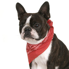 Load image into Gallery viewer, Mechaly Pack of 8 Paisley Cotton Dog Bandana Triangle Shape  - Fits Most Pets
