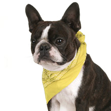 Load image into Gallery viewer, Pack of 4 Paisley Cotton Dog Bandana Triangle Shape  - One Size Fits Most
