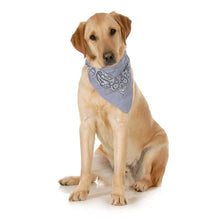 Load image into Gallery viewer, 5-Pack Paisley Cotton Dog Scarf Triangle Bibs  - XL and Washable
