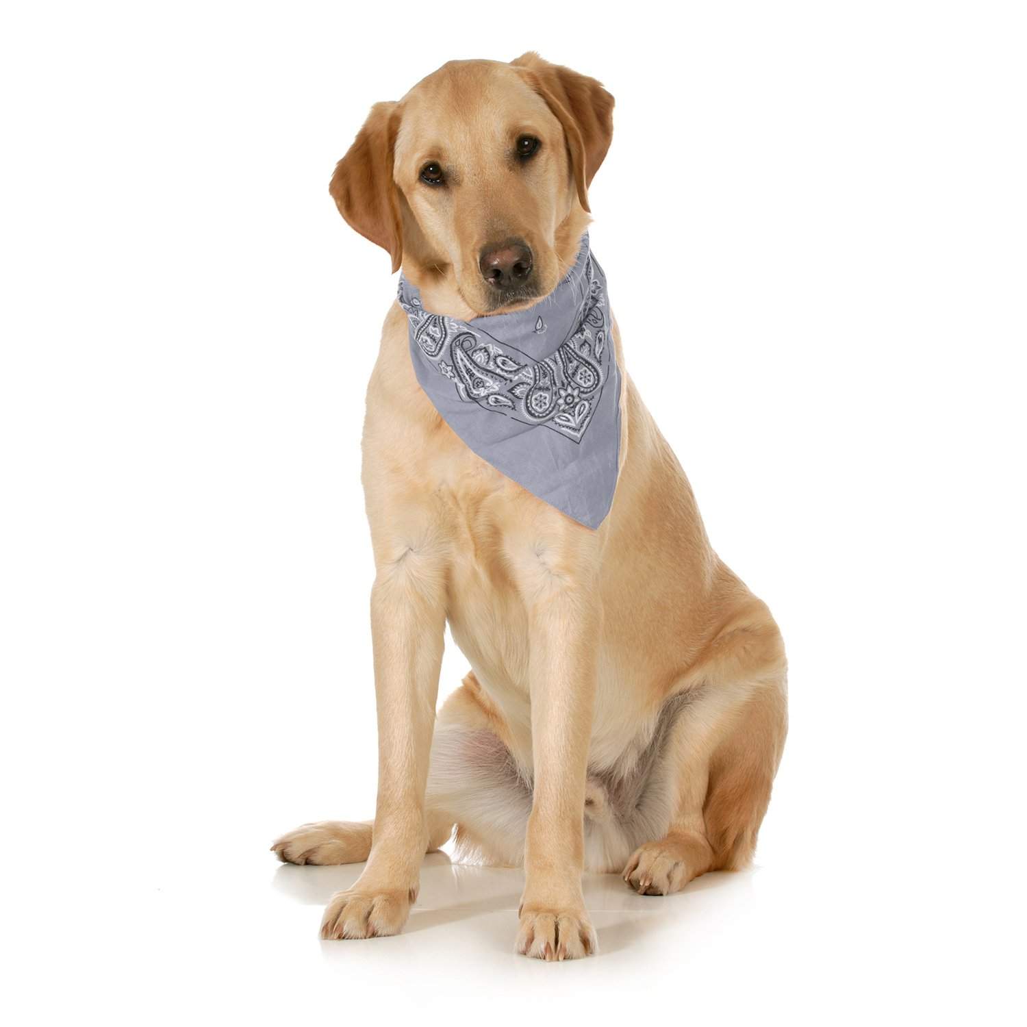 3-Pack Paisley Cotton Dog Scarf Triangle Bibs  - XL and Washable