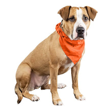 Load image into Gallery viewer, Balec 6 Pcs Plain Cotton Pets Dogs Bandana Triangle Shape  - Large Pets
