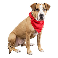 Load image into Gallery viewer, Mechaly 4 Pcs Plain Cotton Pets Dogs Bandana Triangle Shape  - Large &amp; Washable
