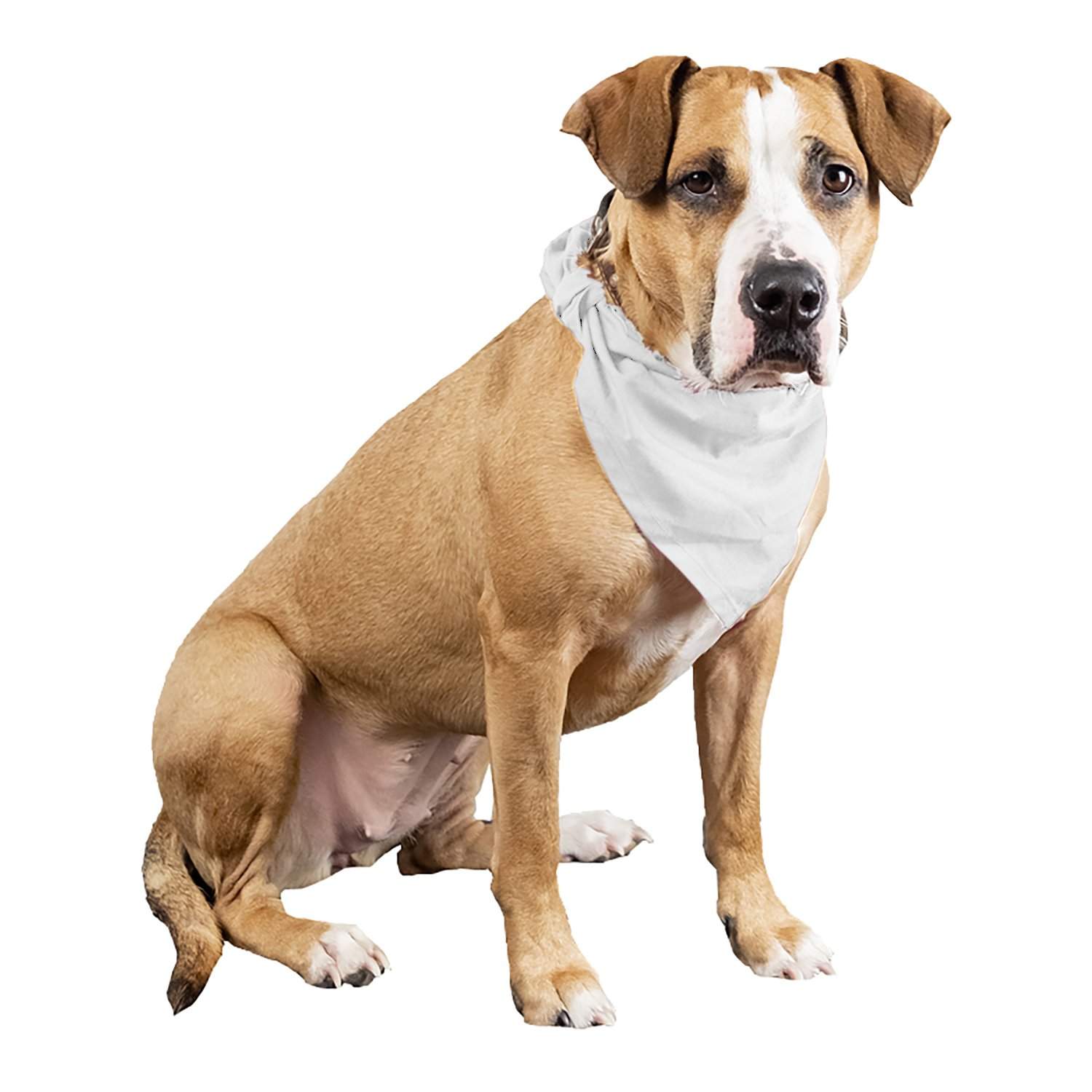 Plain white outlet dog bandana