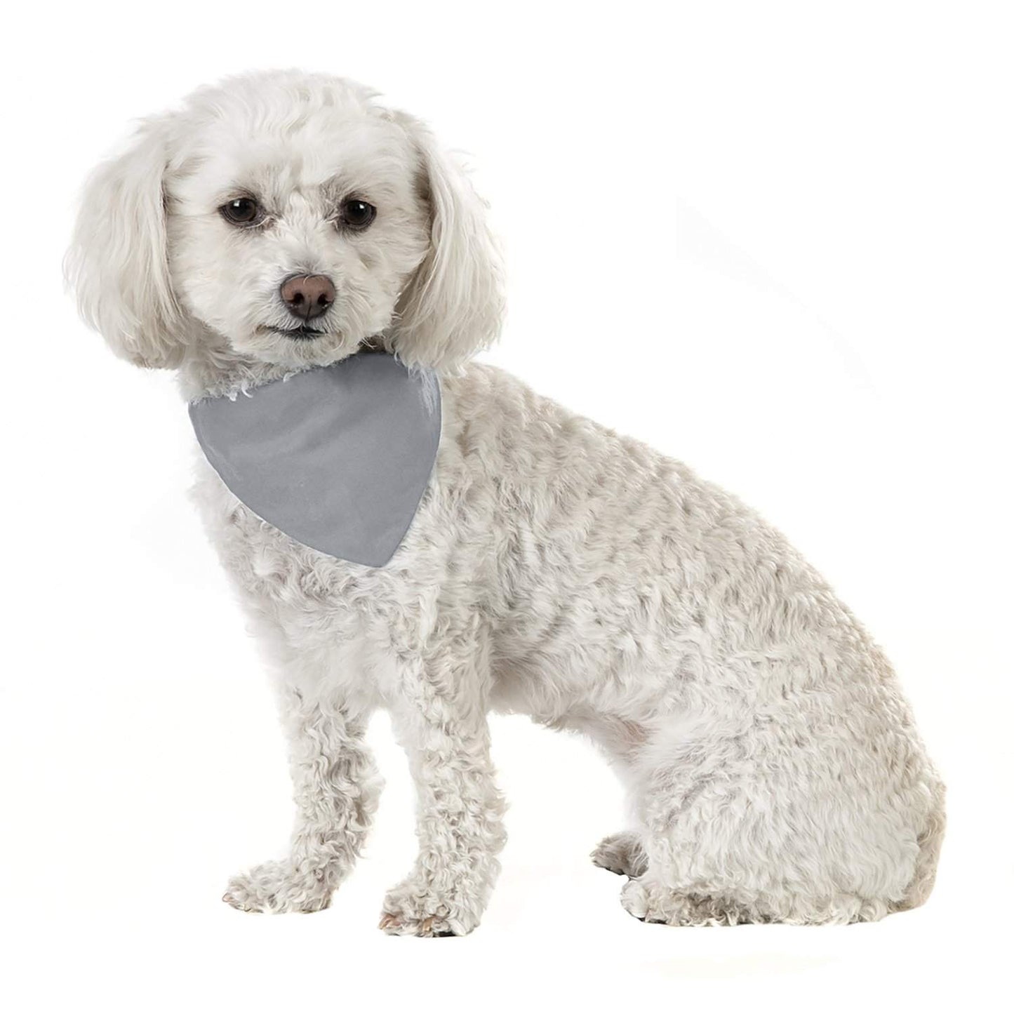 Jordefano Solid Cotton 5 Pack Dog Bandana Triangle Bibs  - Small and Medium Pets