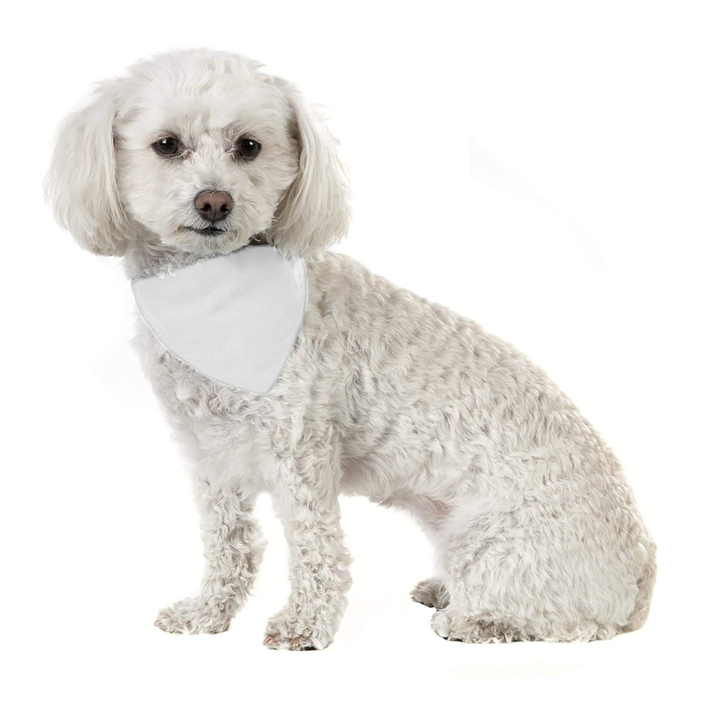 3 Pack Solid Cotton Dog Bandana Triangle Bibs  - Small & Medium Pets