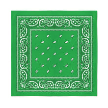 Load image into Gallery viewer, Paisley Polyester Unisex Bandanas - Pack of 20 - Bulk Wholesale
