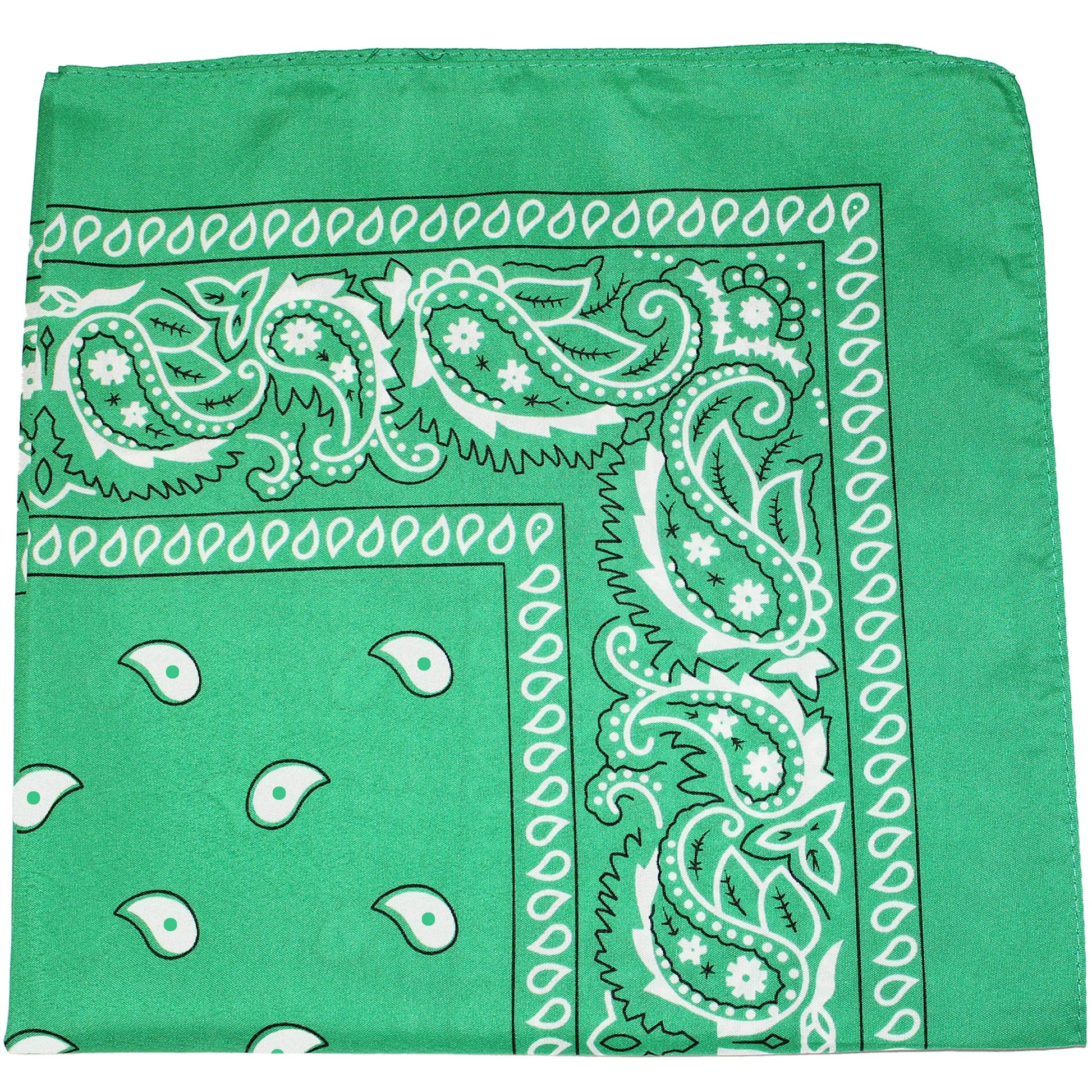 Pack of 10 Polyester 22 x 22 Inch Paisley Printed Bandanas