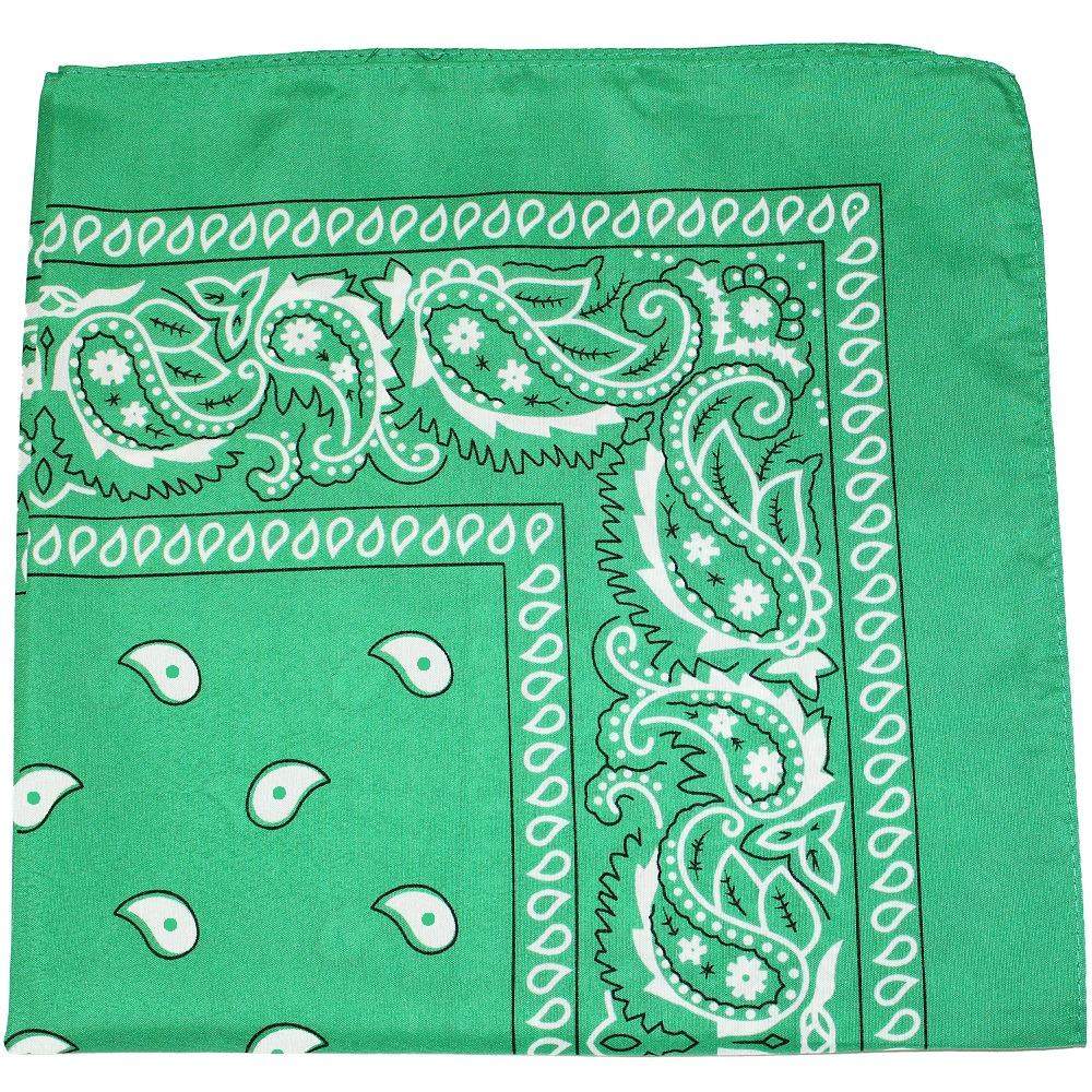 Pack of 10 Daily Basic Polyester 22 x 22 Paisley Printed Bandanas