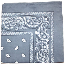 Load image into Gallery viewer, Pack of 10 Polyester 22 x 22 Inch Paisley Printed Bandanas
