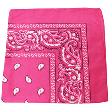 Load image into Gallery viewer, 12 Pack Daily Basic Cotton 22 x 22 inches Paisley Printed Bandana
